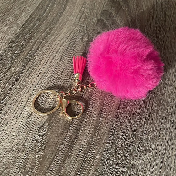 Key Chain / Bag Charm ! - Picture 3 of 4